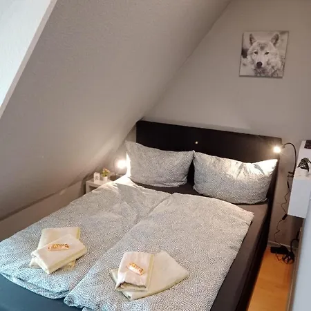 Zentrum 10 Vh Dgr Flensburg