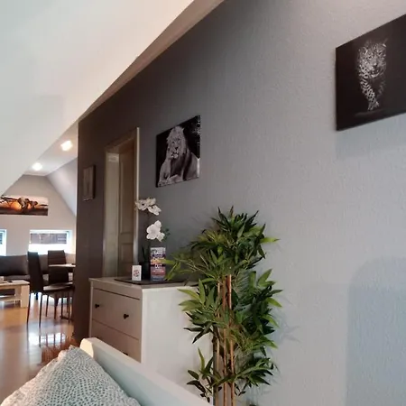 Apartment Zentrum 10 Vh Dgr Flensburg