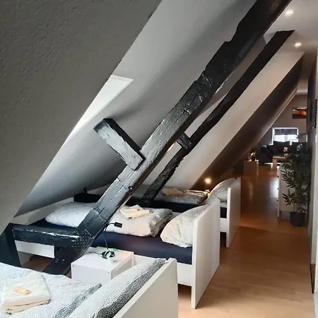 Zentrum 10 Vh Dgr Flensburg